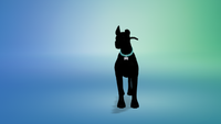 My Sim dog blacked out